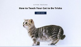 Basic rules for cats - CSS Template by Nicepage