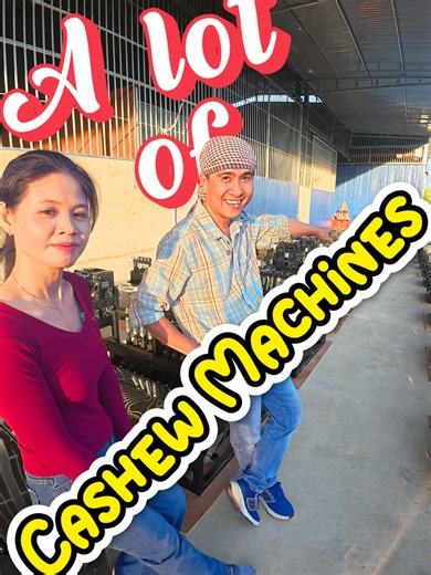 Innovative Cashew Cutter Machines for Efficient Processing