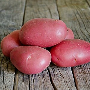 Pomme De Terre Rouge Marmiton | The Cake Boutique