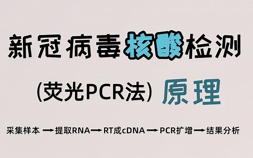 新冠病毒核酸检测(荧光PCR法)原理