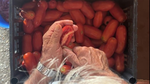 Lost in Tradition - an italian Farmer's story