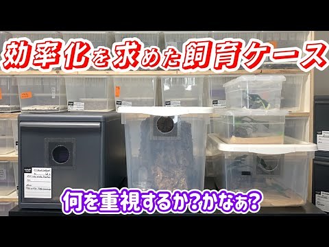 [Breeding Cases] Use them according to your purpose. Crested Gecko Breeding Cases