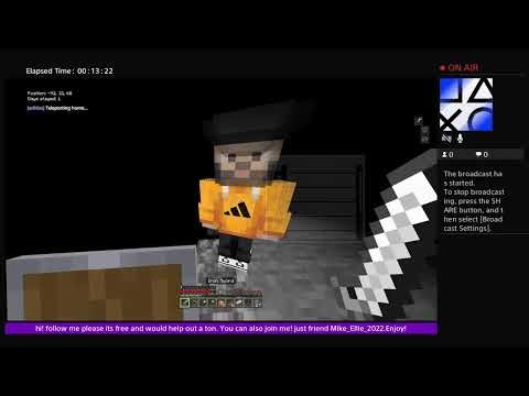 Just some Chill Minecraft