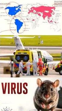 Hantavirus Panic From Antarctica to Africa: Passengers Trapped on Infected Cruise Ship