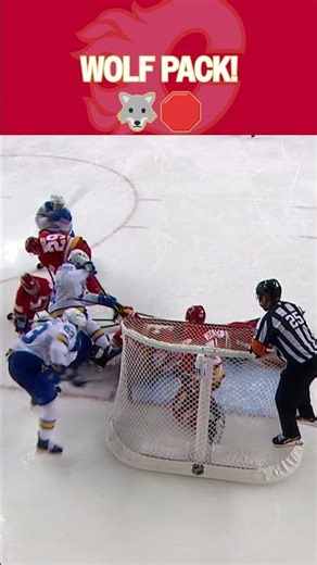 The Wolf Pack Protects the Net!