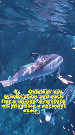 10 Amazing Animals You Won’t Believe Exist! 🐾 | Mind-Blowing Animal Facts | #Wildlife