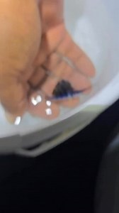 21K views · 57K reactions | ‘The smallest sailfish we have ever seen!!’ - @tuna_addicts @marlasportfishing Strike missions are live!  Links in bio. Big Fish, Heavy Waves, Raw Stories! That’s Aclassic! www.aclassic.co #fishing #fish #fishinglife #bluewater #nature | Aclassic | Facebook