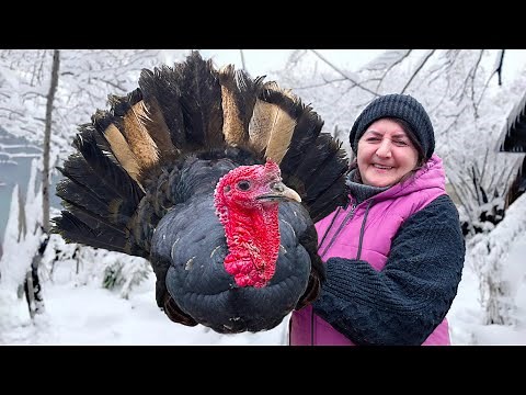 Delicious Winter Cooking: A Taste Journey with Grandma's Homemade Recipes