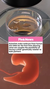US scientists have made early-stage human embryos by manipulating DNA taken from human skin cells, which could allow same-sex couples to have a child that is genetically related to both partners 🌈 | PinkNews