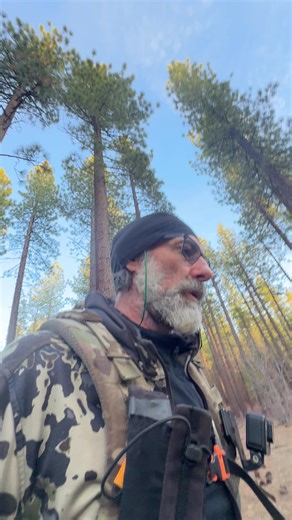 Oliver “the wolf guy“ vs. Cancer Update: Good News and Bad News. GoFundMe: https://gofund.me/5af2b1bfc Support Our Wolves: TahoeWolfCenter.org ##wolfguy##cancer##update##gofundme