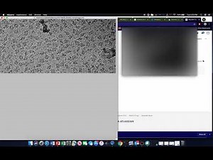Manual Picking in RELION