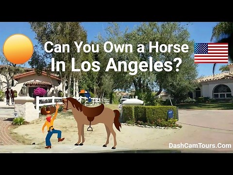 Dash Cam Tours: Large Celebrities' Homes in Hidden Hills, Calabasas, California USA. LA's Suburbs