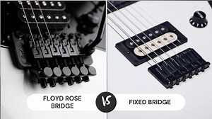 Floyd Rose vs Fixed Bridge: Which Is Better? - CMUSE
