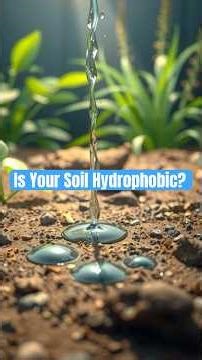 Is Your Soil Hydrophobic?