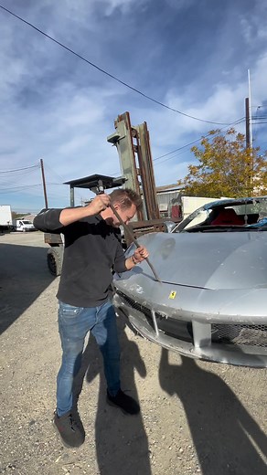 Real life exotics on TikTok