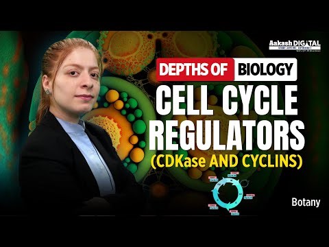 CDKs and Cyclins in Cell Cycle | NEET 2026 | NCERT Concepts | Depths of Biology 🎯