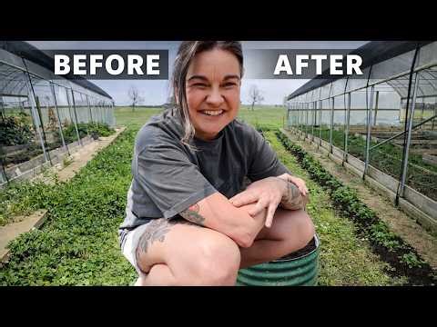 Garden Reset (Preparing for strawberry season)