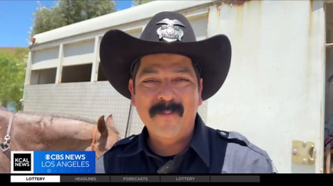 Ventura Police Department deploying mounted patrol unit