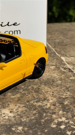 Even the nature loves Otto models 🐝 | AC Collection