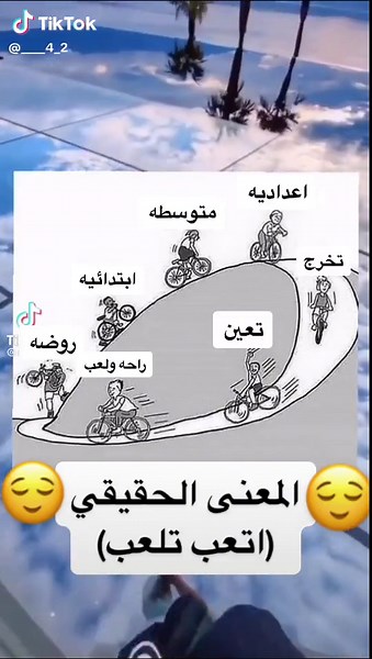 Cartoon Bicycle Rides: A Humorous Cycle Journey