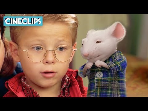 George Meets Stuart For The First Time | Stuart Little | CineStream