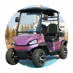 [Hot Item] New Designed Electric Utility Golf Carts Safe Cheap Golf Carts for Sale