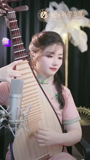 From Strings to Soul: A Pipa Concert《偷工1》#chinesemusic #music #cover #sleepmusic #pipavav