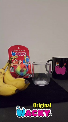 The Original Wacky The Magic Worm. Looking for Dealers Worldwide. Se buscan distribuidores. مطلوب تجار. It is a Magic Tricks. Using a small invisible string you can make Wacky more around your fingers. #tutorial #magicmalaysia #silapmata #wackyworm #magicwacky #magictrick