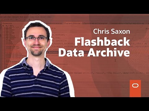 The Incredible Flashback Data Archive