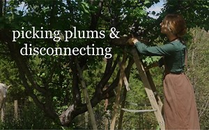 治愈系VLOG | 【The Cottage Fairy】小森林·乡村慢生活 八月再见