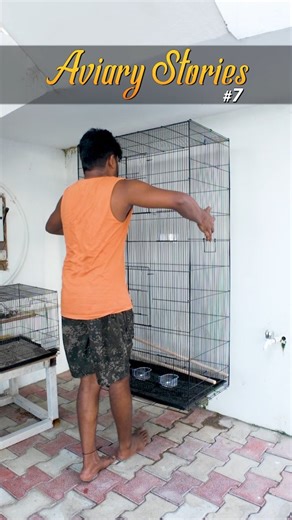 HOBBY KING - தமிழ் | 🐦 cage upgrade for finches #hobby #pets | Instagram