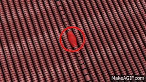 trigger point explained with animation on Make a GIF