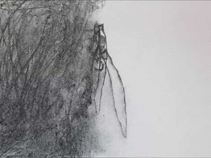 "The Act" - A Hand-drawn Charcoal Animation