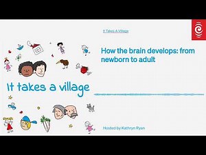 How the brain develops: from newborn to adult | It Takes A Village | RNZ