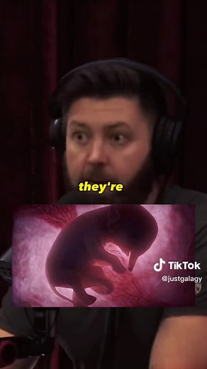 Bringing Mammoths Back to Life: The Mammoth Revival Project