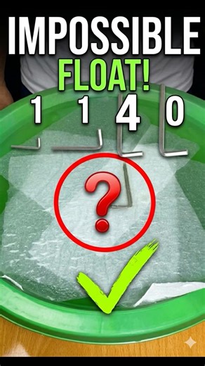 HOW MANY TISSUES UNTIL IT SINKS? 🤯 Water Experiment #shorts