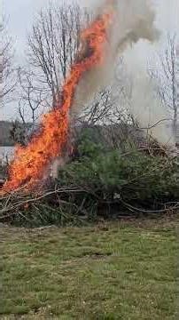 Burning permit in hand. Spring cleanup