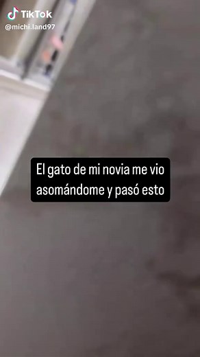 Gatos Graciosos: Karen se Asusta con Michi