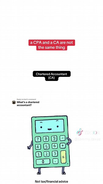 What is a Chartered Accountant? Understanding CA Roles