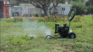 Boston Has New Way to Get Rid of Rats