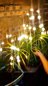 670K views · 3.4K reactions | Like & Follow Comment for link  Solar Garden Lights #solarlights #gardenlights #outdoorlighting | Best unique items | Facebook