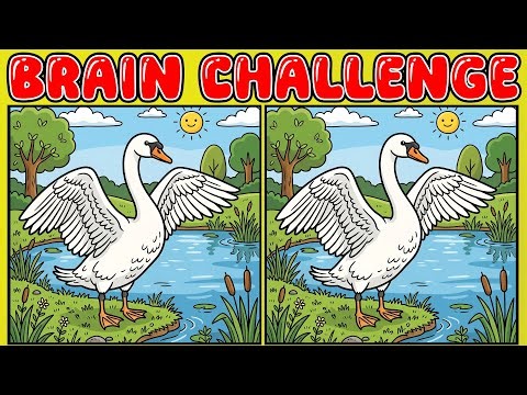 Brain Gym 🌸 Fun Activity for Your Brain!! Find 3 Differences | Hard | Japanese Puzzle