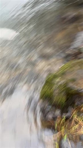 Cody Carlin nice steelhead on our Tracker Jacker Spinner!! | North Fork Lures Co.