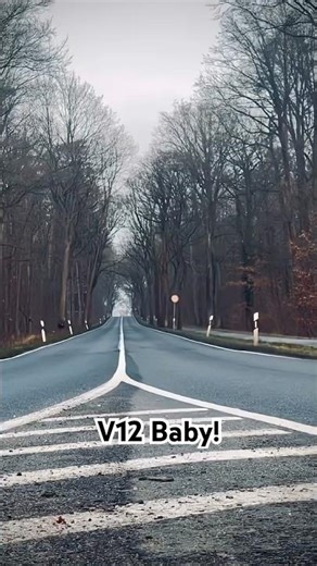 Ferrari FF V12 Sound #ferrarisound #v12sound #v12 #ferrariff #carculture