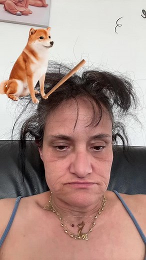 Shiba Inu Balancing Act: Cute Animated Dog Video