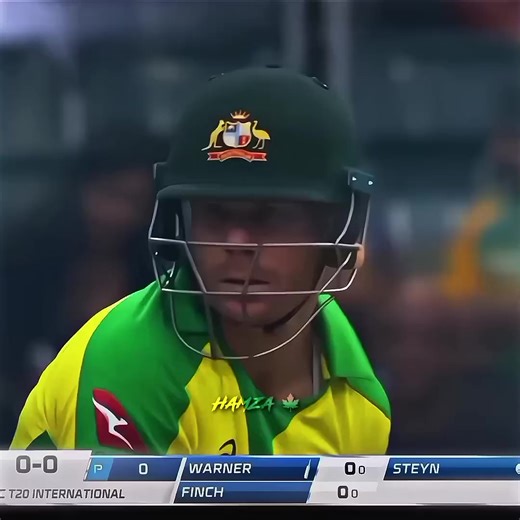Warner & Styen's Heated Cricket Confrontation