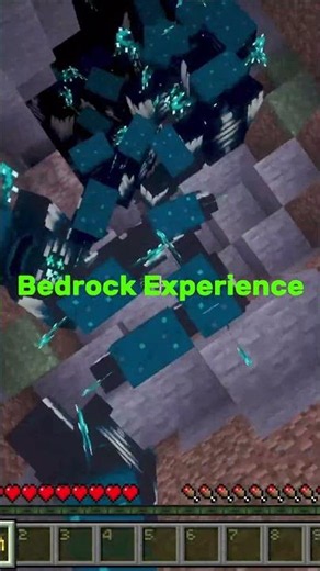 Minecraft Java VS Bedrock Experience! #minecraft #java