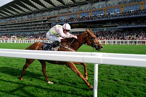 Willie eyeing a Melbourne Cup return with Vauban