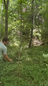 3.7K views · 82 reactions | $5 Walmart Machete | Jatie Vlogs | Facebook