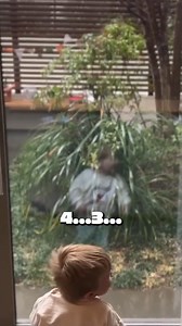 142K views · 3.7K reactions | Shhhhh 狼 | PewDiePie | Facebook